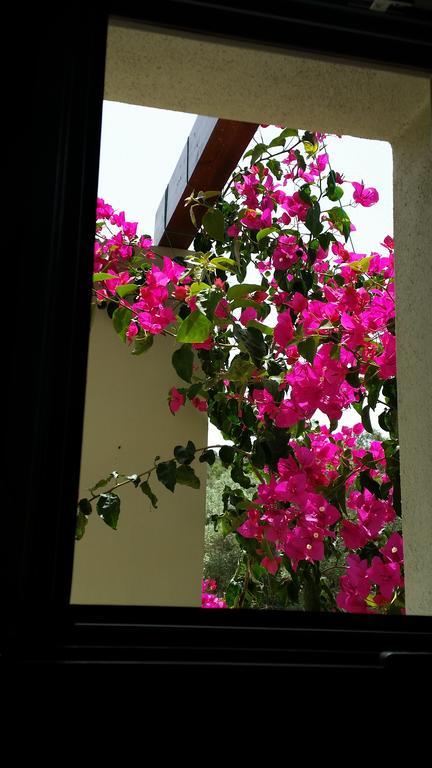 Thea Houses มิลินา ภายนอก รูปภาพ